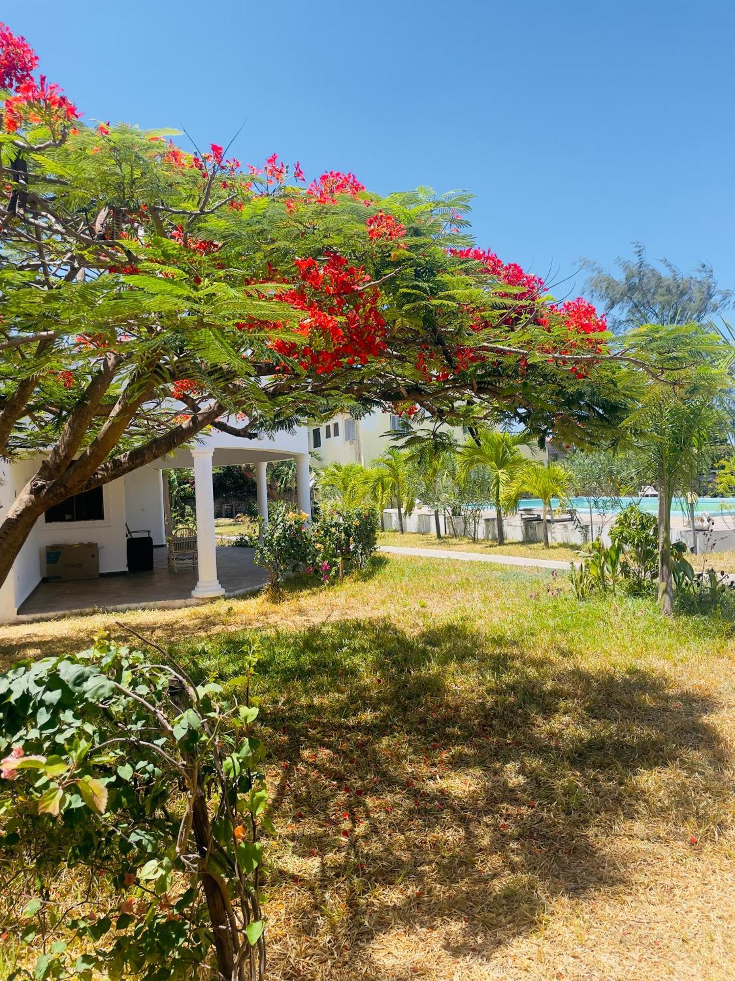 3 Bedroom White House Malindi Exterior photo